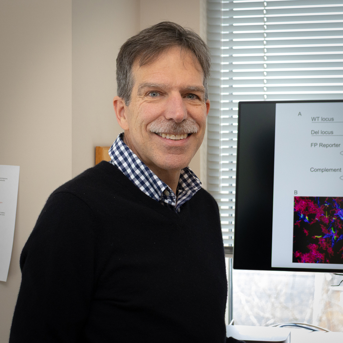 Todd Gray PhD