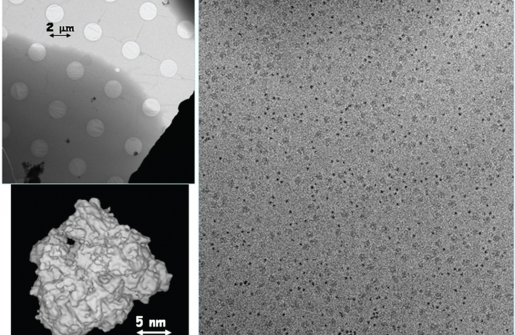 Cryo-EM of ribosomes and ferritin that were mixed and sprayed by the monlithic device #2