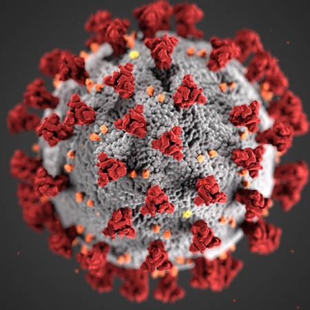 Image of COVID-19, courtesy of the CDC