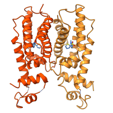 high-resolution protein structure of the molecular target for drug therapy (SmcR) bound to its inhibitor (PTSP)