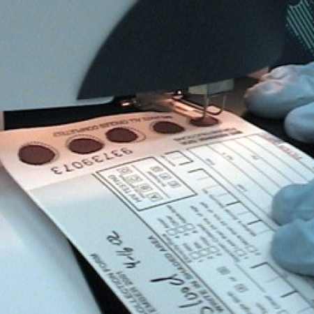 Taking a punch from a card containing dried blood spots