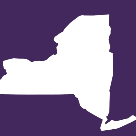 NYS on purple background