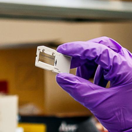 Chip used in sequencing at Wadsworth Center's Advanced Genomic Technologies Core
