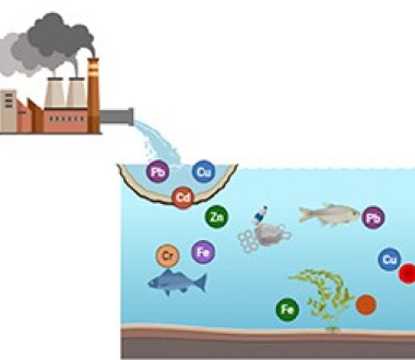 News square for acid free sonochemical extraction