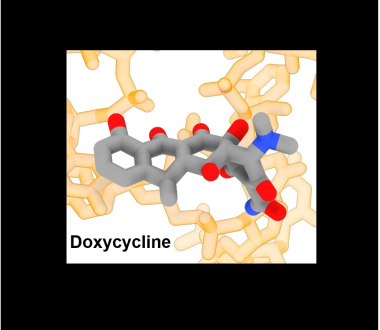 Banavali Lab Doxycycline