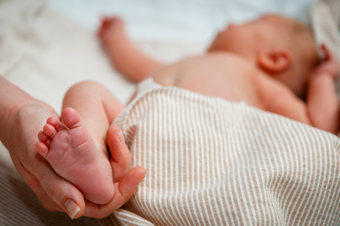 Newborn Screening Program hand holding infant heel