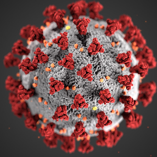 Image of COVID-19, courtesy of the CDC