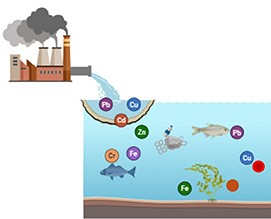News square for acid free sonochemical extraction