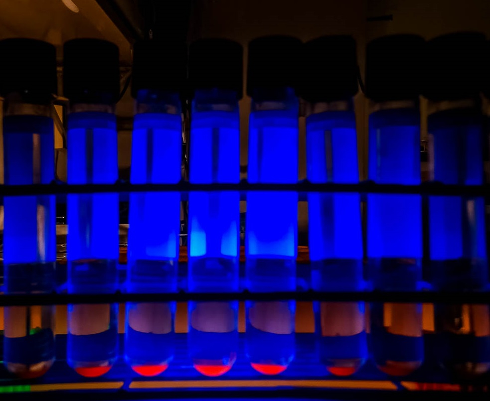 Cultures sent for mycobacterium testing are inoculated into MGIT ™ tubes. Growth is detected using fluorescence. (Photo by Dennis Biggins)