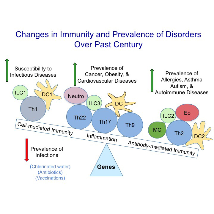 Changes in immunity and prevalence of disorders over past century Changes in immunity and prevalence of disorders over past century